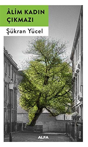 Âlim Kadın Çıkmazı kitap kapağı