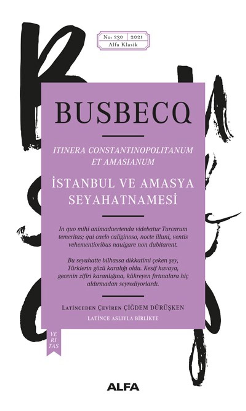İstanbul ve Amasya Seyahatnamesi (Ciltli) kitap kapağı