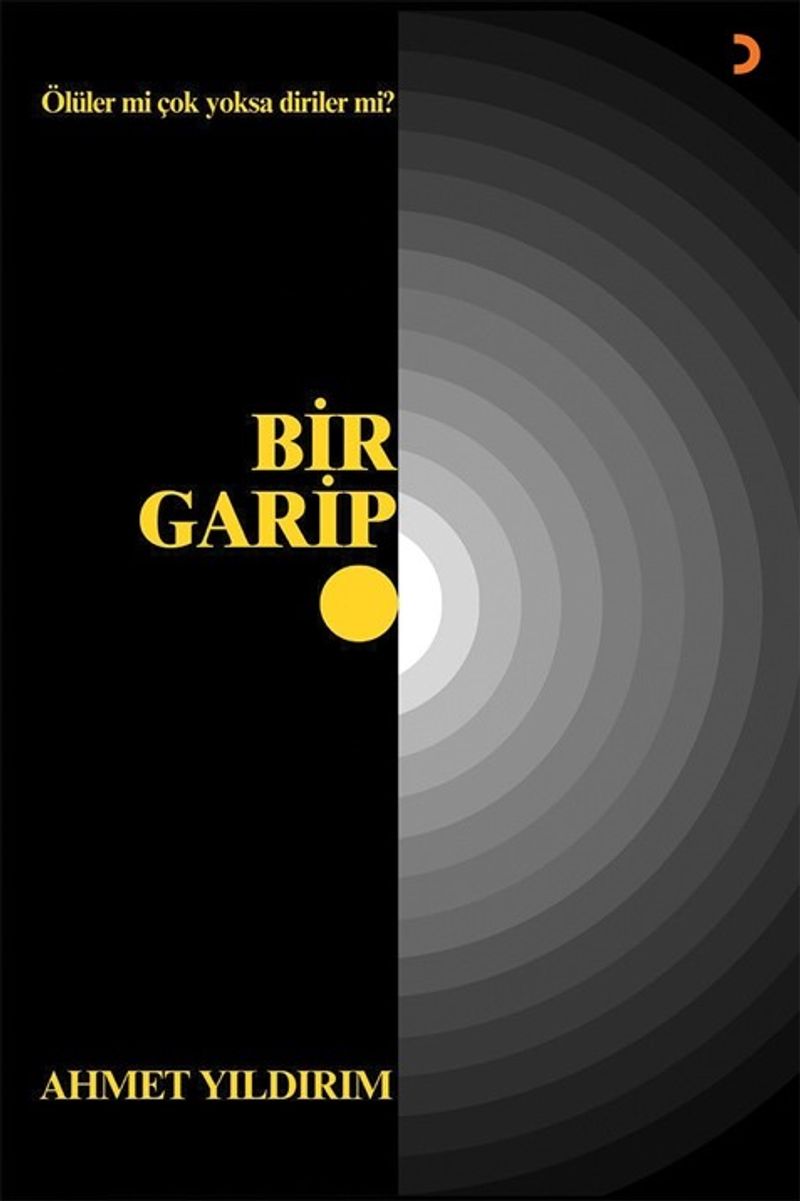 Bir Garip kitap kapağı