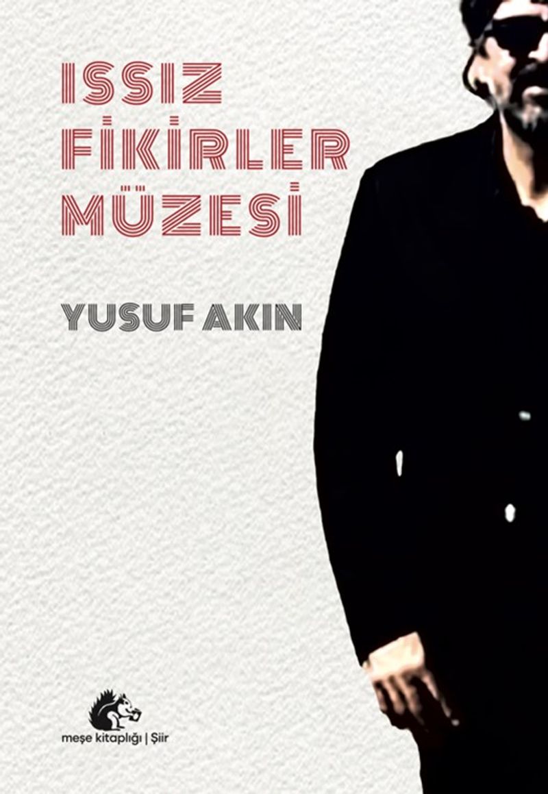 Issız Fikirler Müzesi kitap kapağı
