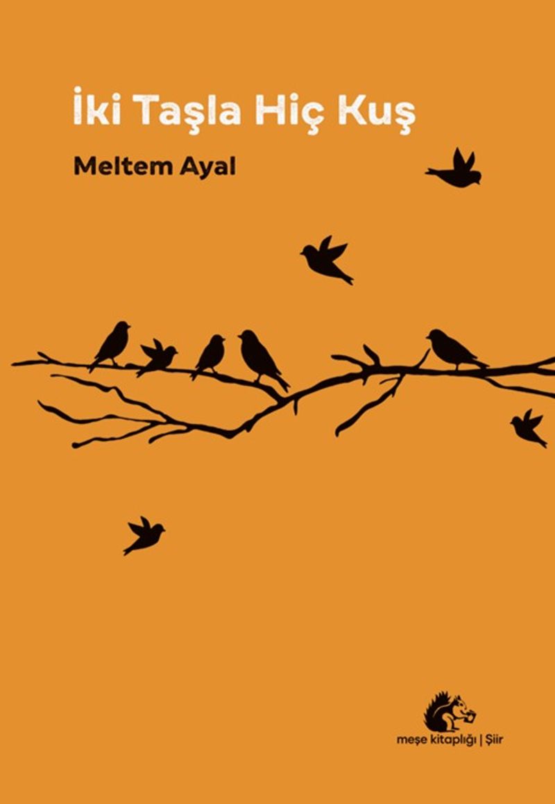 İki Taşla Hiç Kuş kitap kapağı