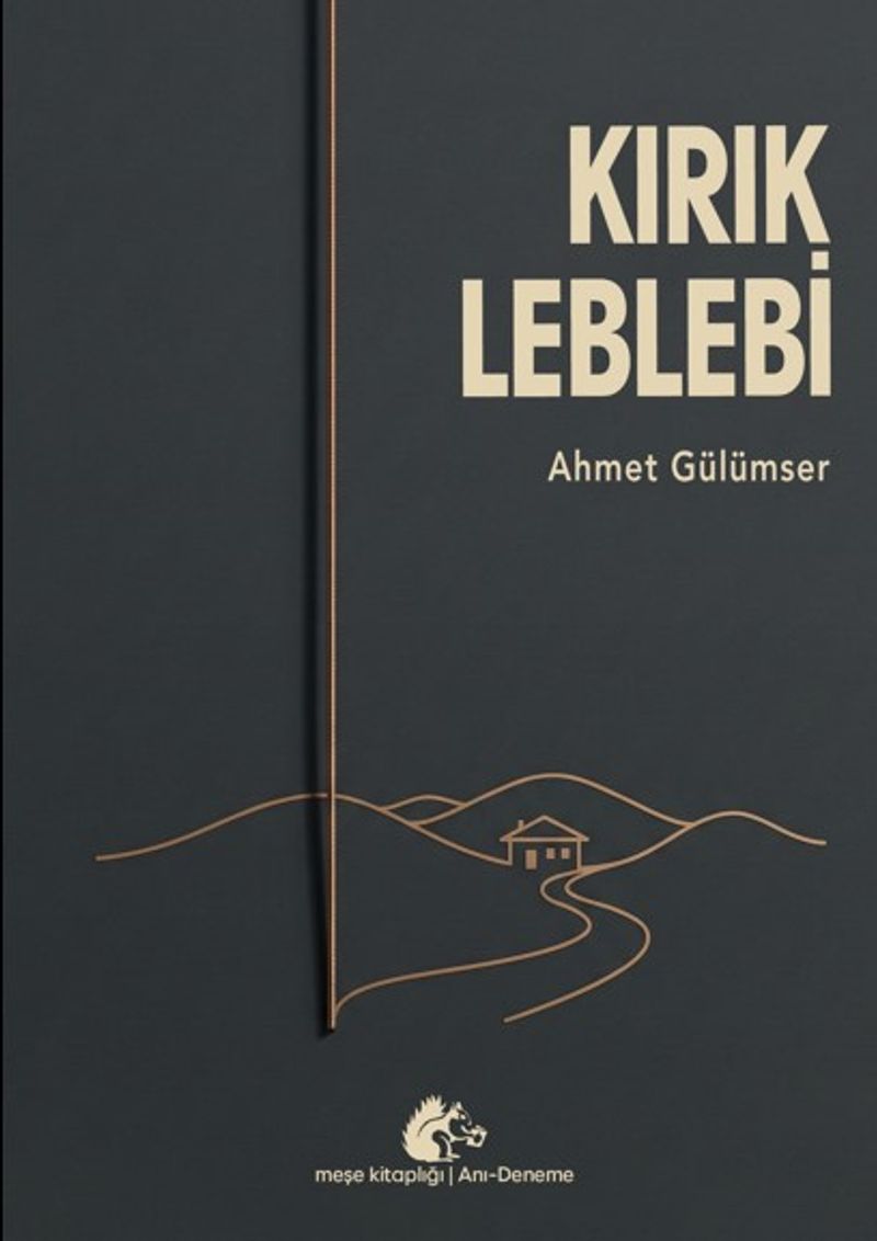 Kırık Leblebi kitap kapağı