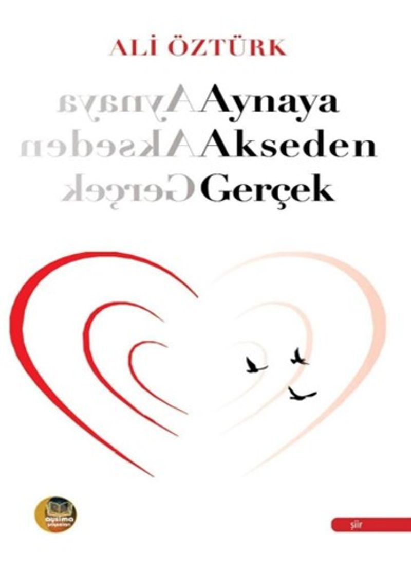 Aynaya Akseden Gerçek kitap kapağı
