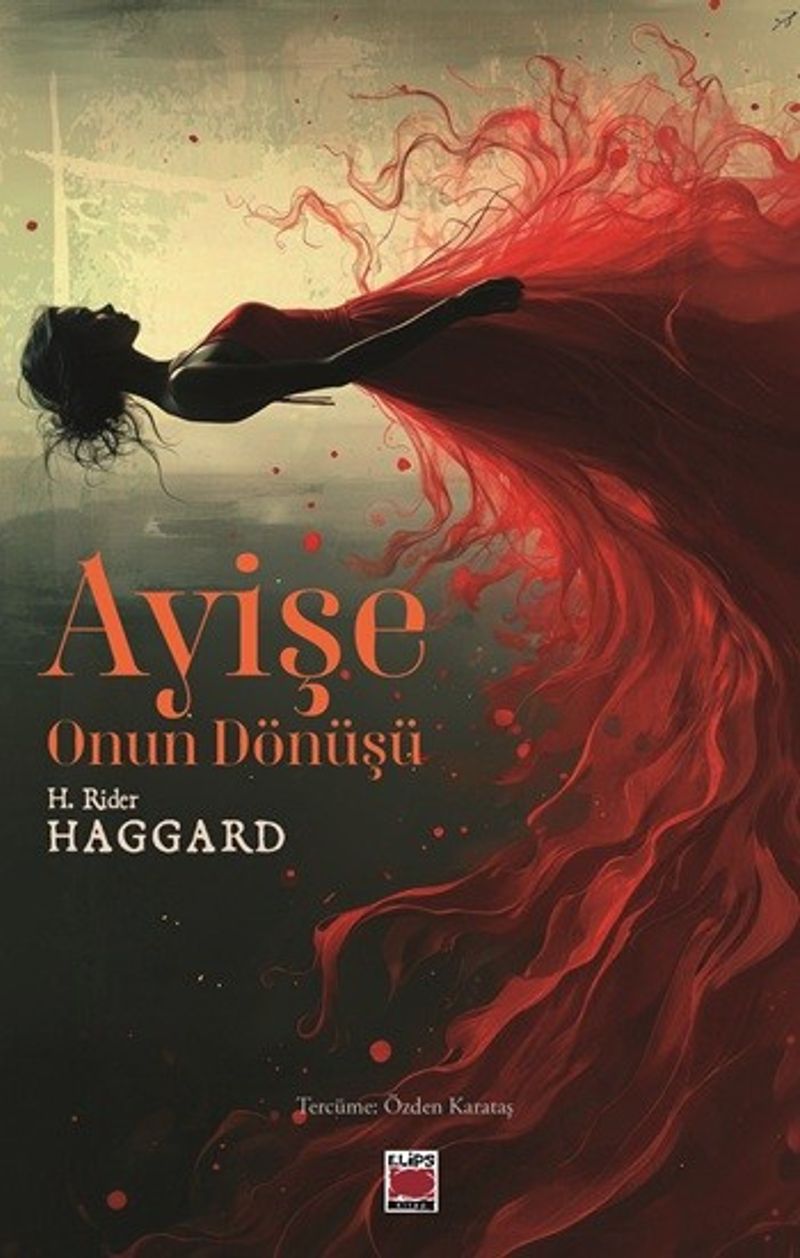 Ayişe Onun Dönüşü kitap kapağı