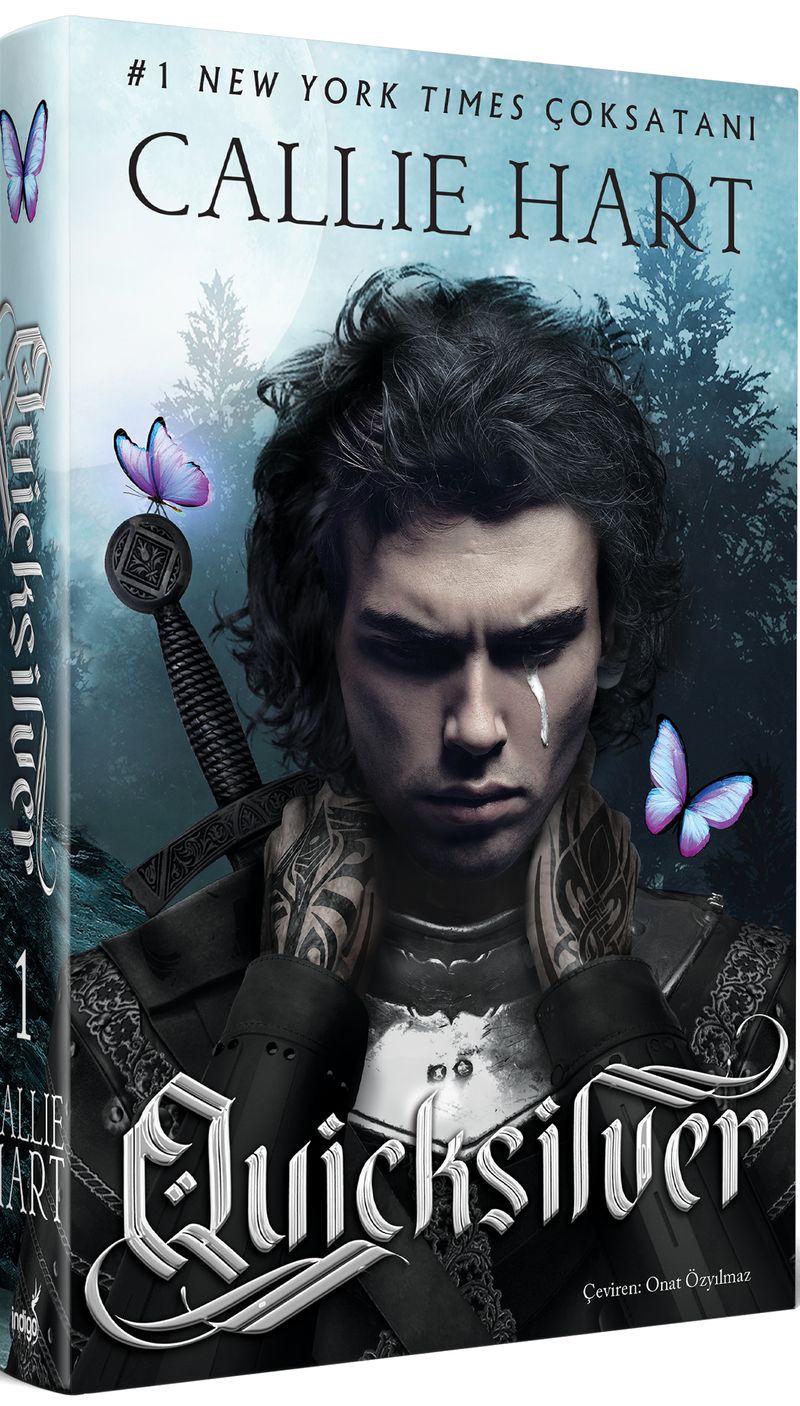 Ouicksilver (Ciltli) kitap kapağı