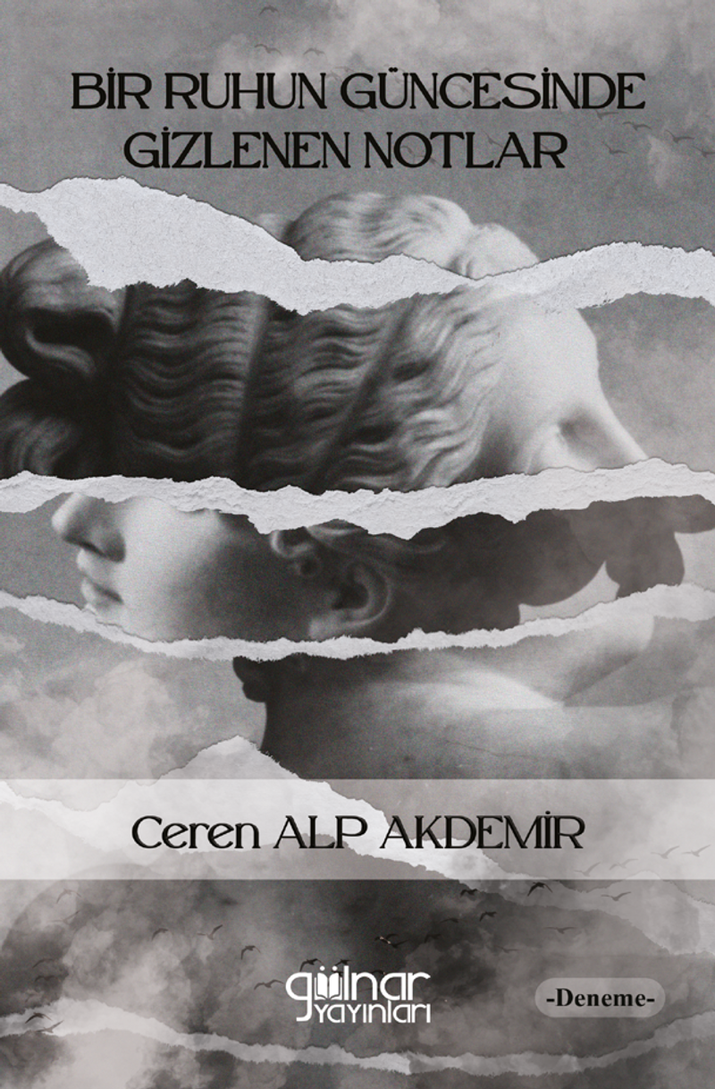 Bir Ruhun Güncesinde Gizlenen Notlar kitap kapağı