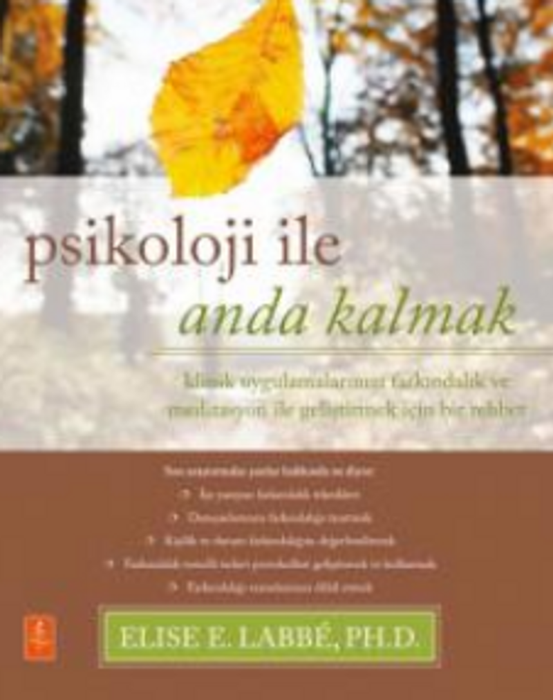 Psikolojiyle Anda Kalmak / Klinik Uygulamalarınızı Farkındalık ve Meditasyon ile Geliştirmek için Bir Rehber / Psychology Moment by Moment - A Guide to Enhancing Your Clinical Practice with Mindfulness kitap kapağı