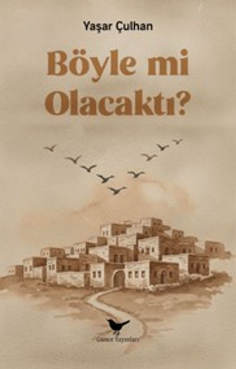 Böyle mi Olacaktı? kitap kapağı