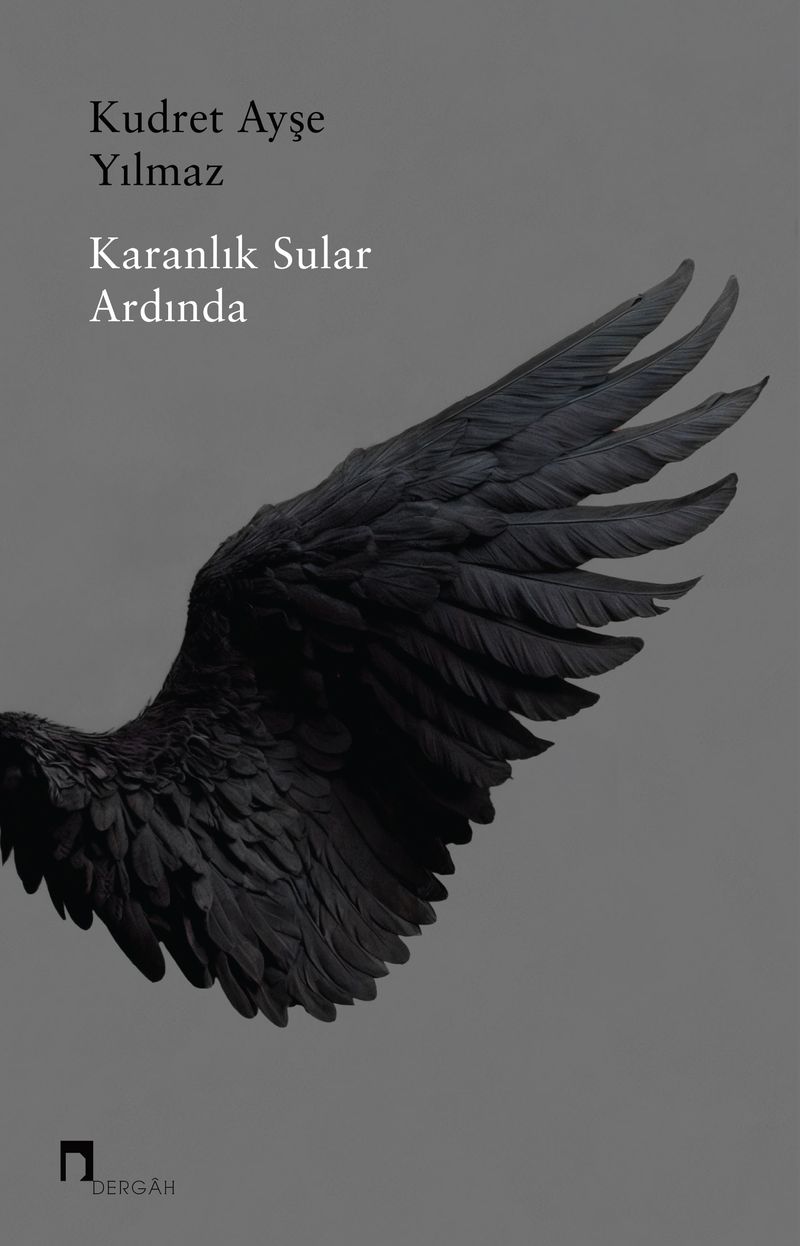 Karanlık Sular Ardında kitap kapağı