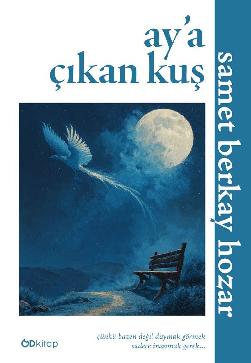 Ay'a Çıkan Kuş kitap kapağı
