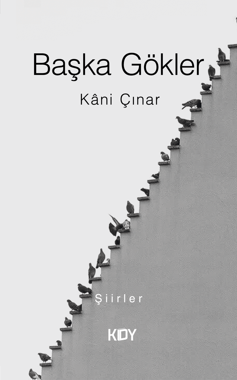 Başka Gökler kitap kapağı