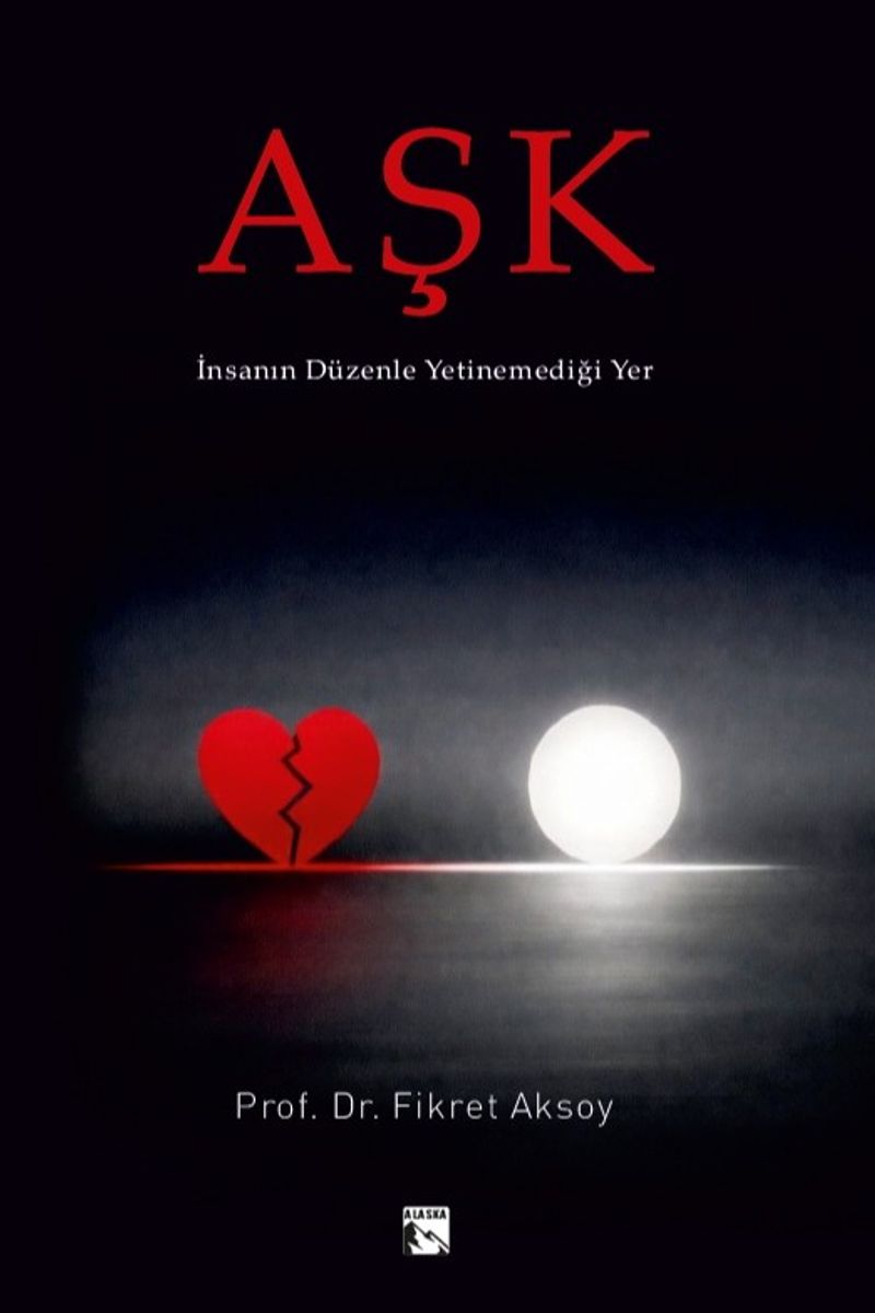 Aşk İnsanın Düzenle Yetinemediği Yer kitap kapağı