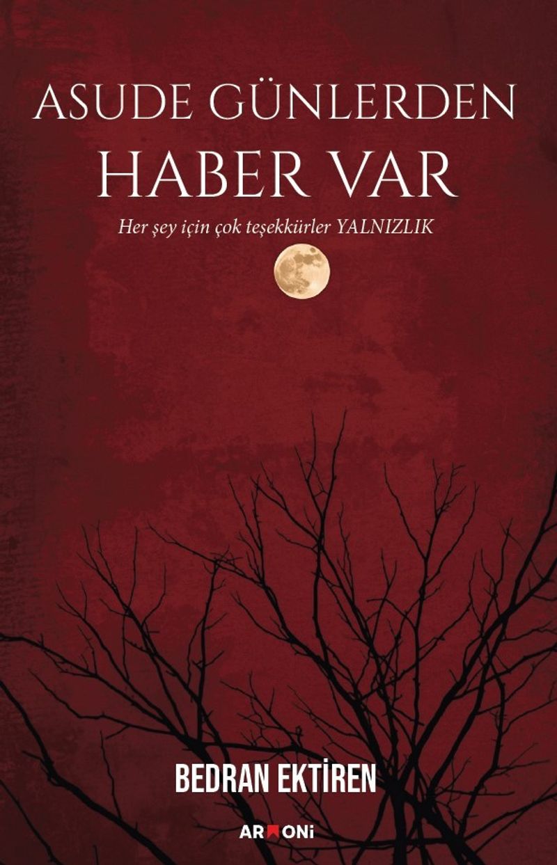 Asude Günlerden Haber Var kitap kapağı