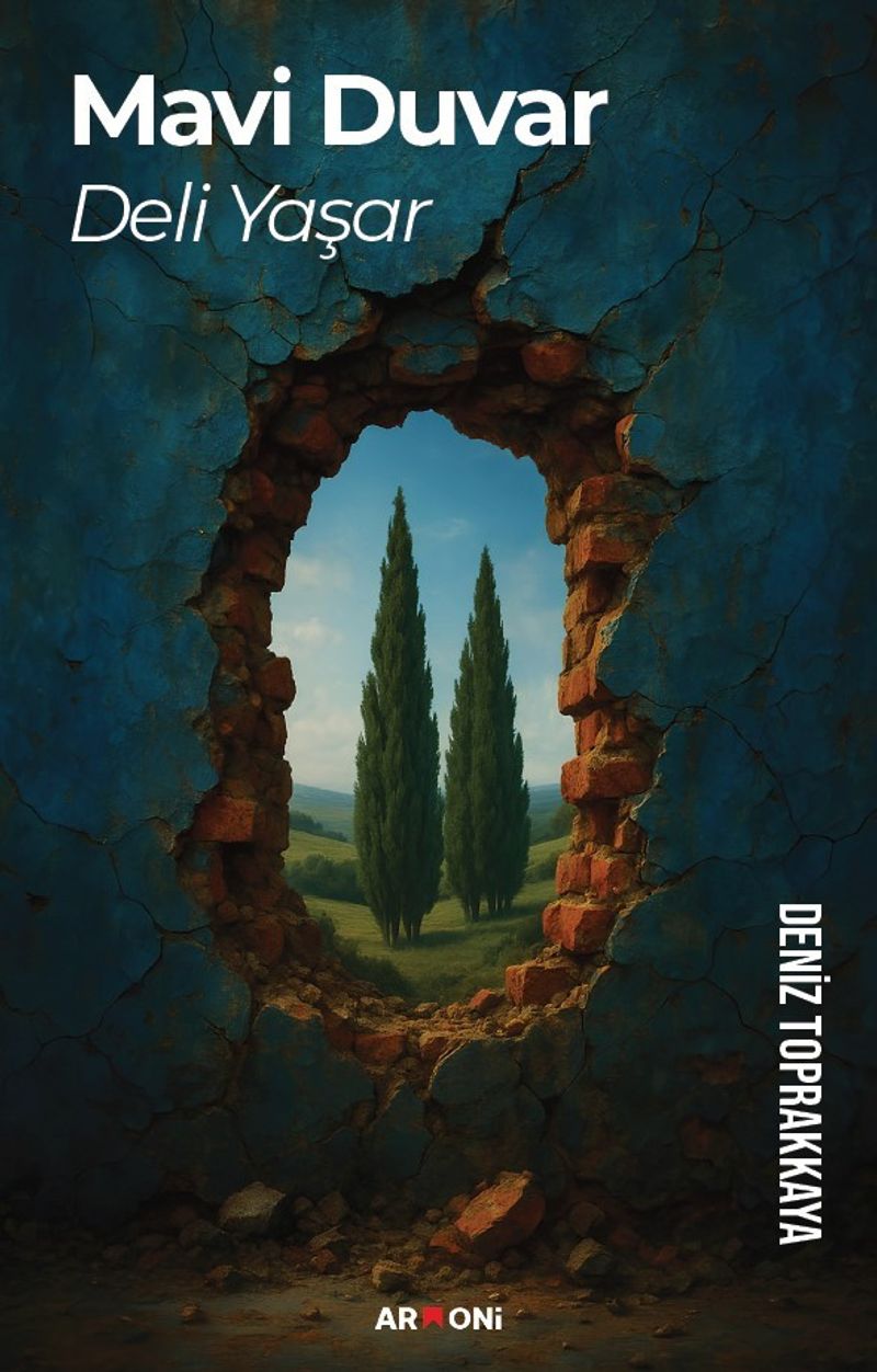Mavi Duvar Deli Yaşar kitap kapağı