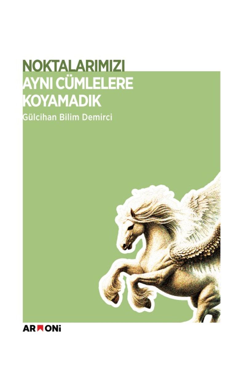 Noktalarımızı Aynı Cümlelere Koyamadık kitap kapağı