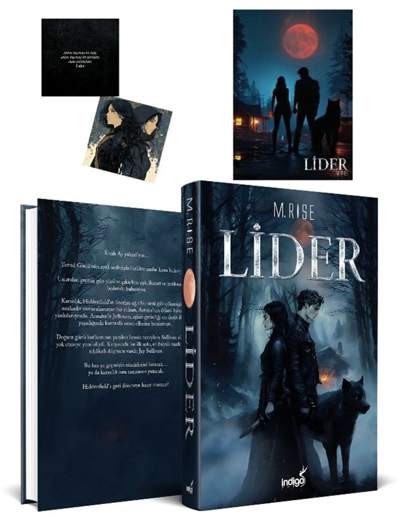 Lider (Ciltli) kitap kapağı