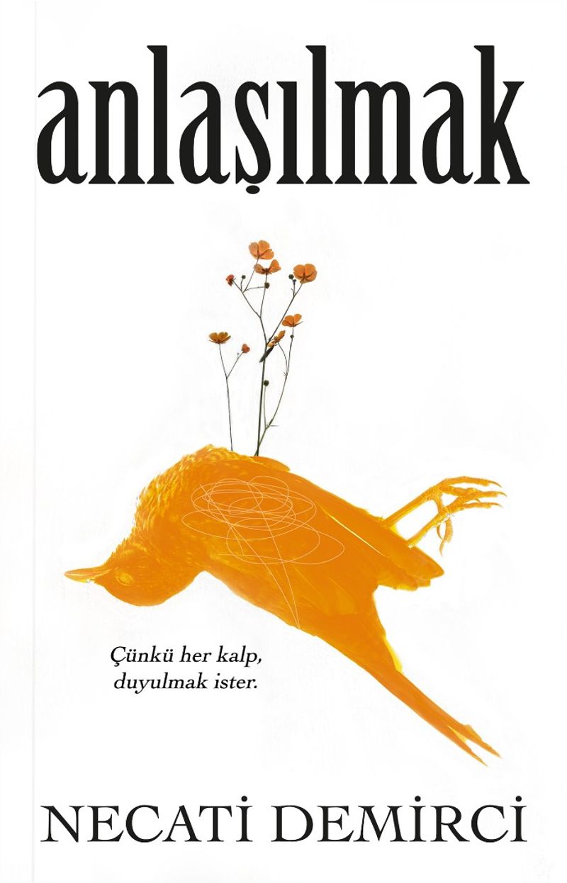Anlaşılmak kitap kapağı