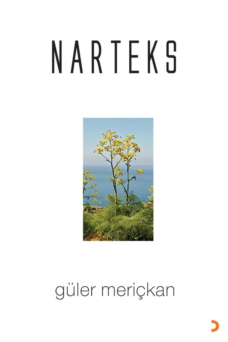 Narteks kitap kapağı