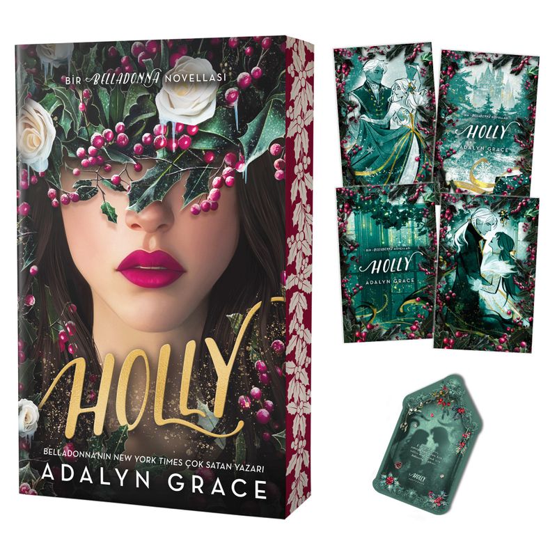 Holly (Karton Kapak) kitap kapağı