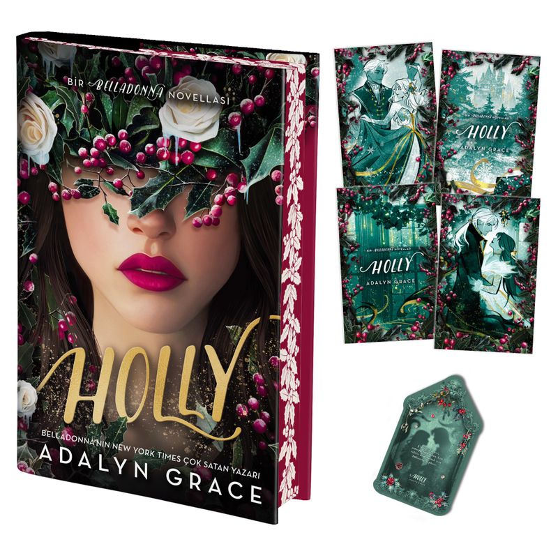 Holly (Ciltli) kitap kapağı