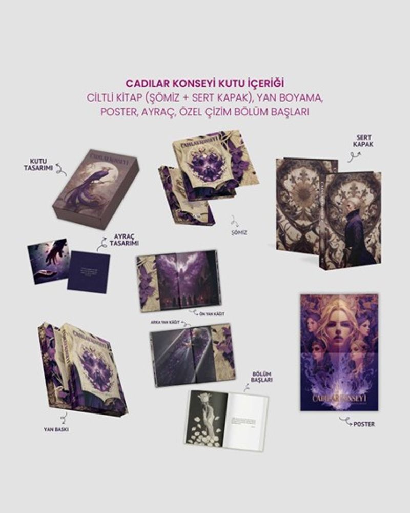 Cadılar Konseyi (Ciltli Kutulu) kitap kapağı