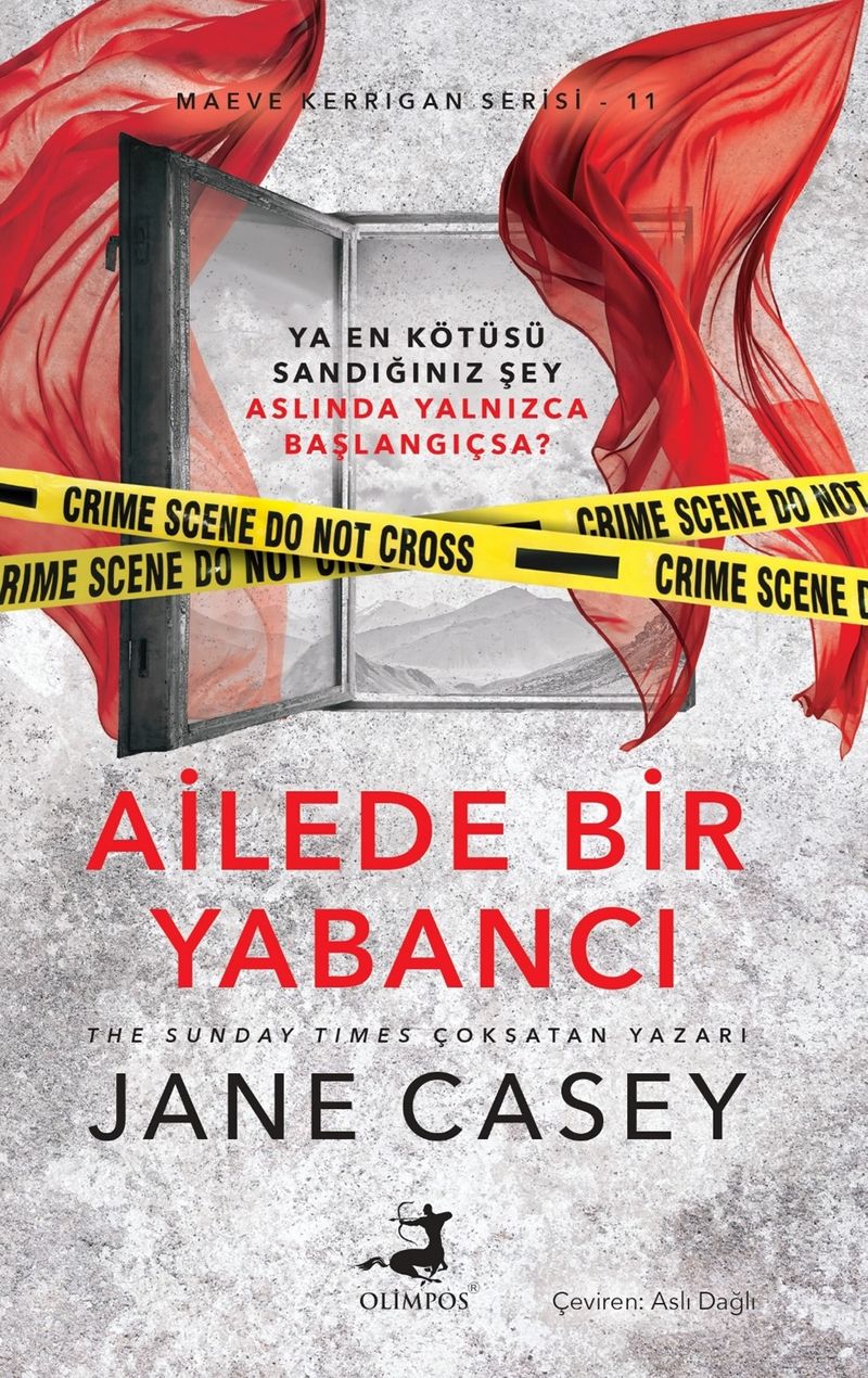 Ailede Bir Yabancı kitap kapağı