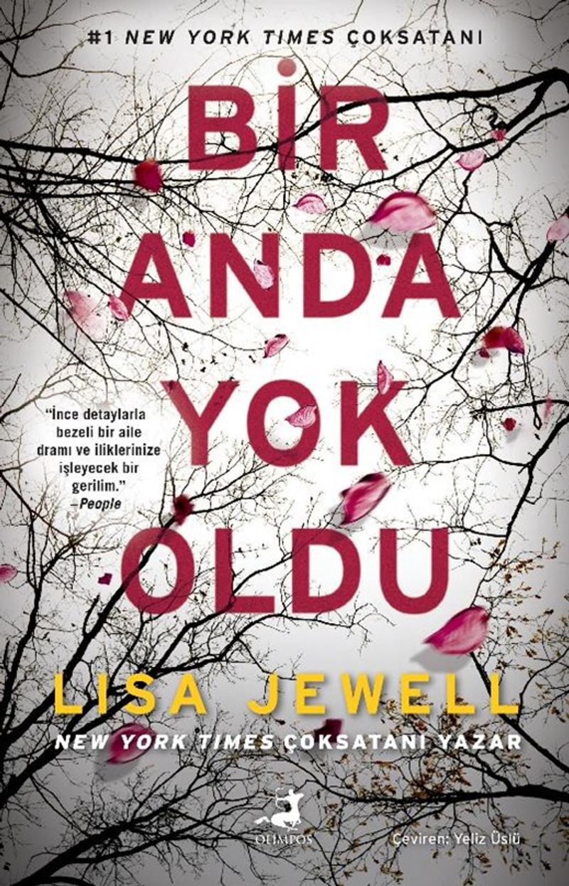 Bir Anda Yok Oldu kitap kapağı
