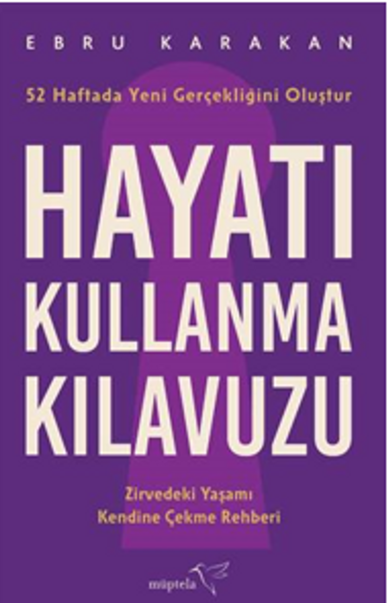 Hayatı Kullanma Kılavuzu kitap kapağı