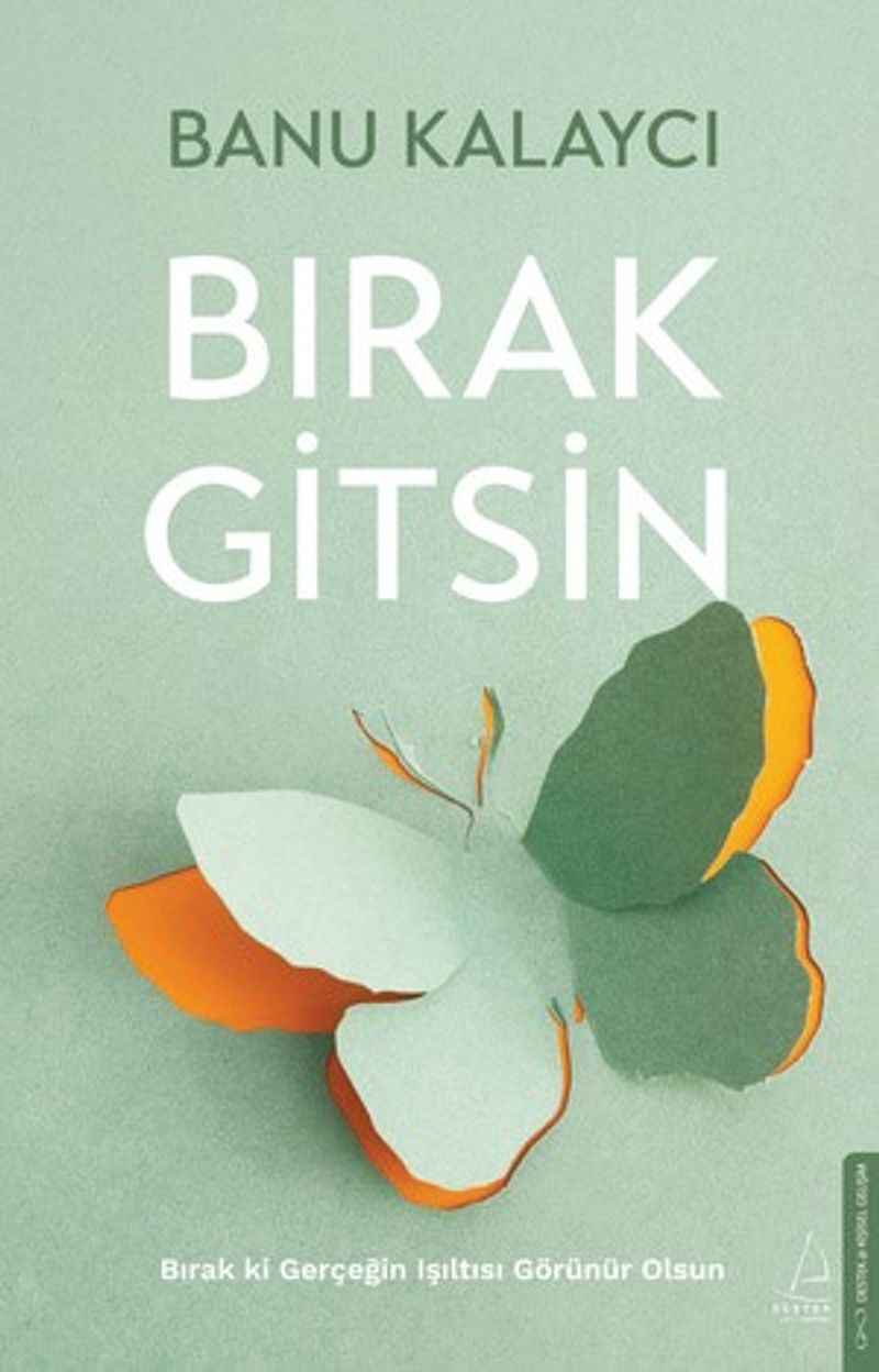 Bırak Gitsin kitap kapağı