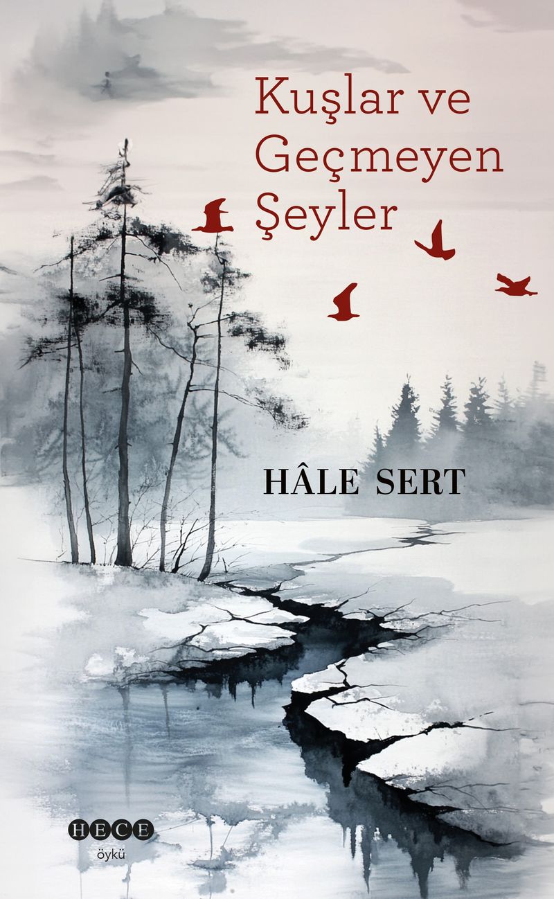Kuşlar ve Geçmeyen Şeyler kitap kapağı