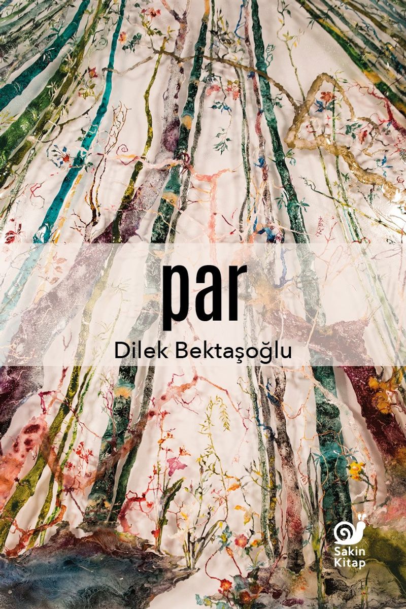 Par kitap kapağı