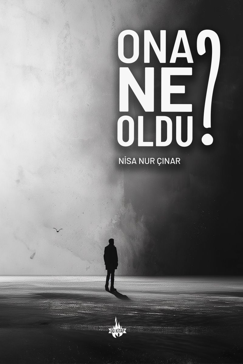Ona Ne Oldu? kitap kapağı
