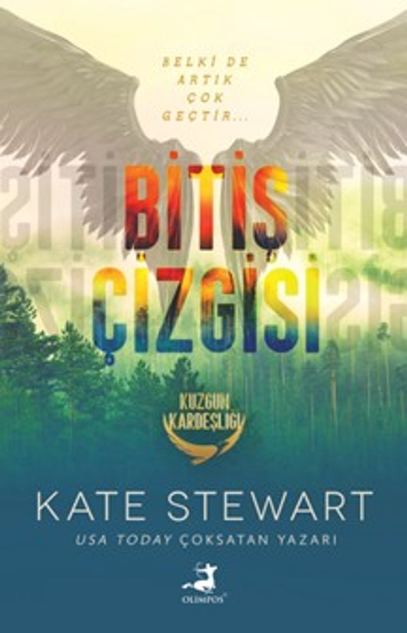 Bitiş Çizgisi kitap kapağı