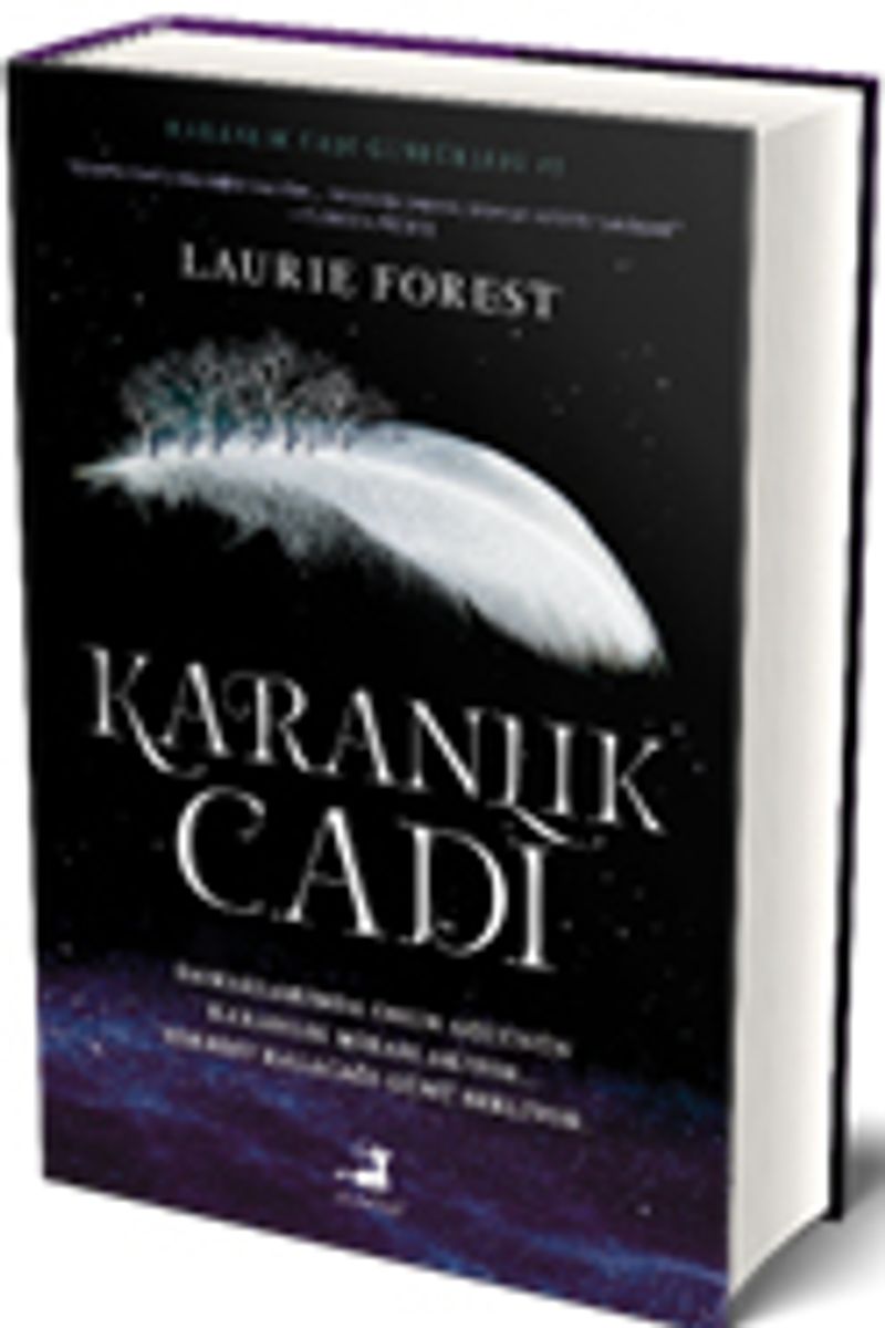 Karanlık Cadı (Ciltli) kitap kapağı