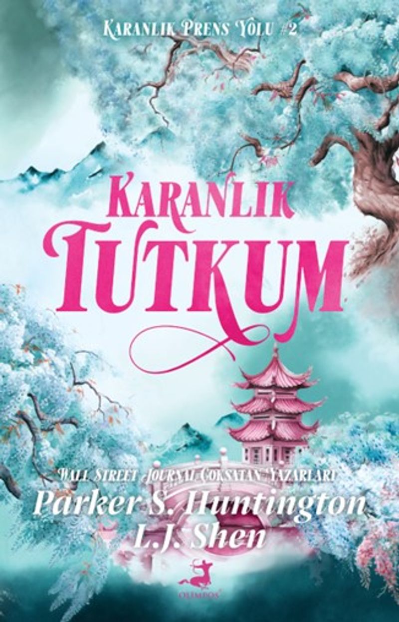 Karanlık Tutkum kitap kapağı