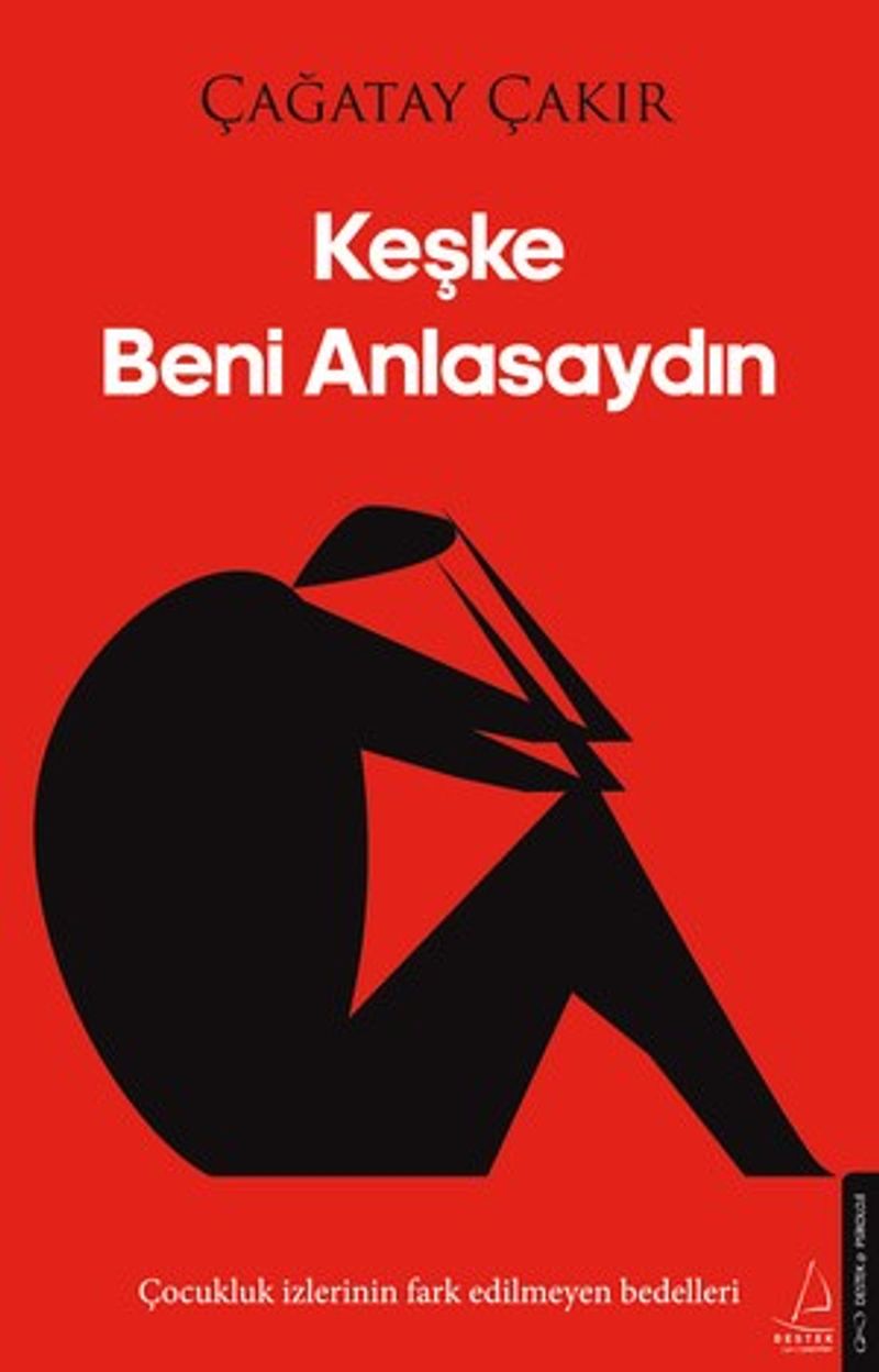 Keşke Beni Anlasaydın kitap kapağı