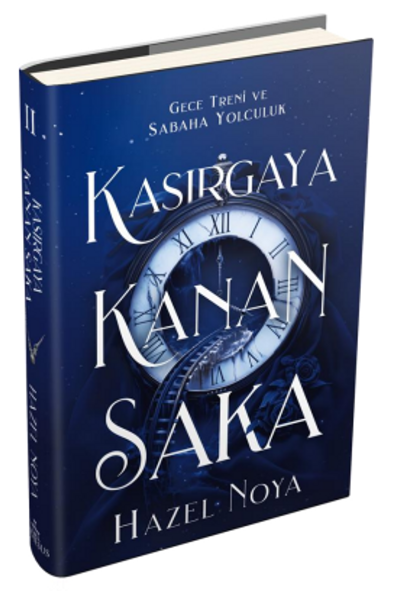 Kasırgaya Kanan Saka 2 (Ciltli) kitap kapağı