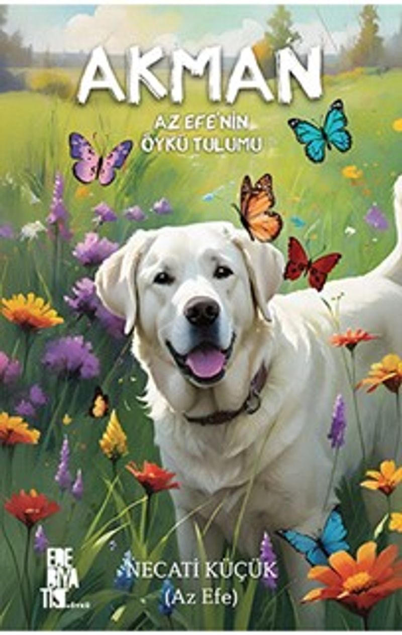 Akman Az Efe'nin Öykü Tulumu kitap kapağı