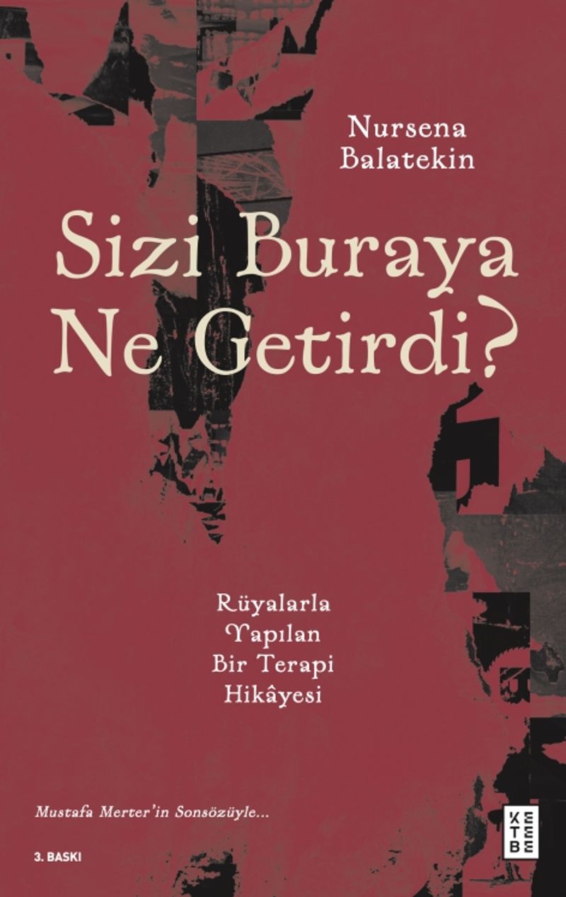 Sizi Buraya Ne Getirdi? Rüyalarla Yapılan Bir Terapi Hikayesi kitap kapağı