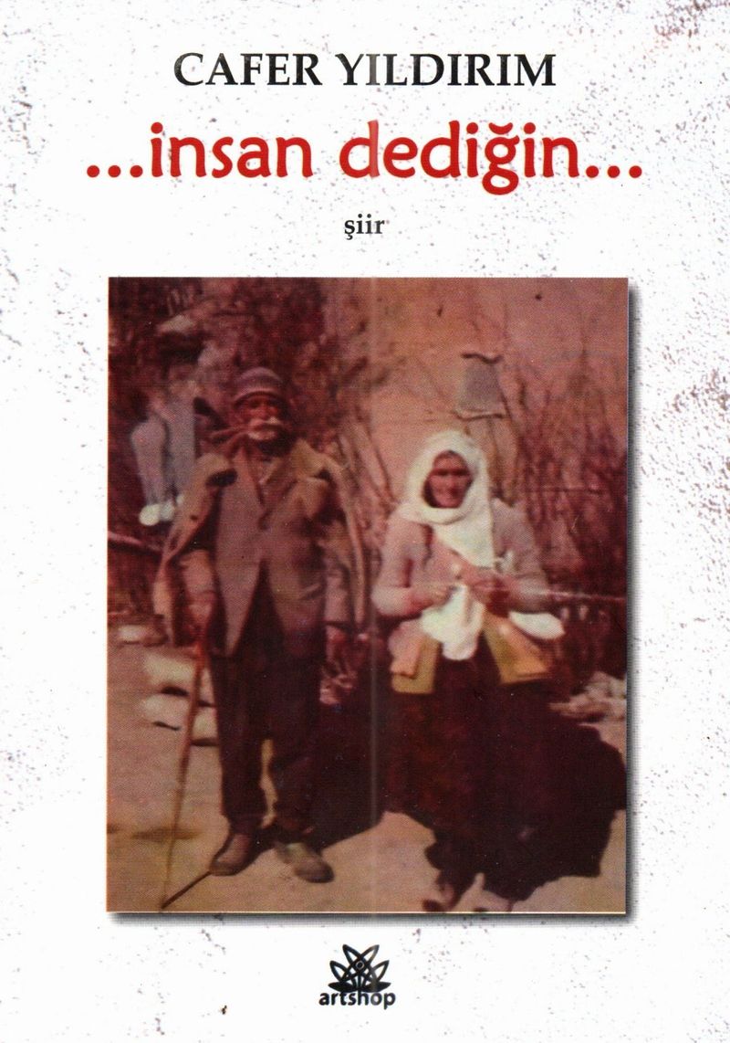 İnsan Dediğin kitap kapağı