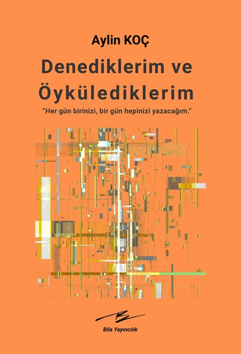 Denediklerim ve Öykülediklerim kitap kapağı