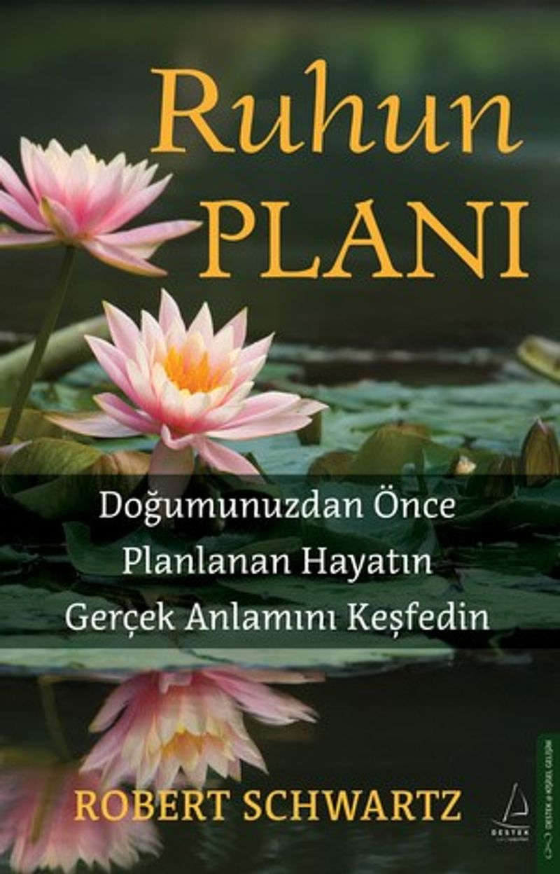 Ruhun Planı kitap kapağı