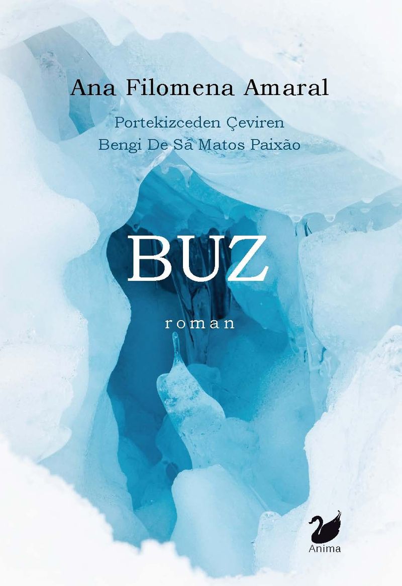 Buz kitap kapağı