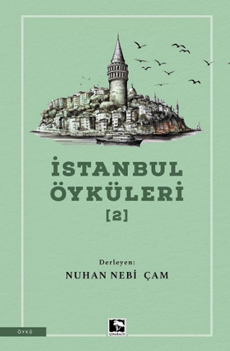İstanbul Öyküleri 2 kitap kapağı