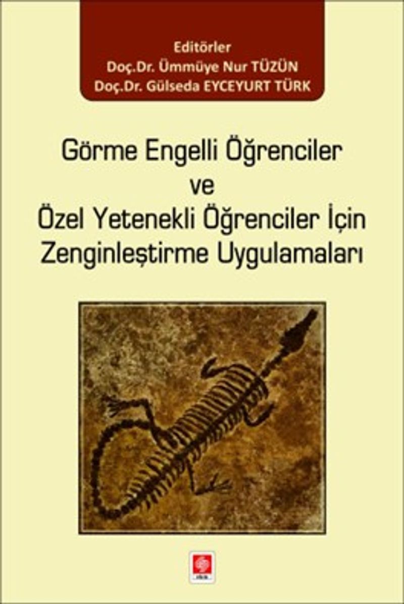 Görme Engelli Öğrenciler ve Özel Yetenekli Öğrenciler için Zenginleştirme Uygulamaları kitap kapağı