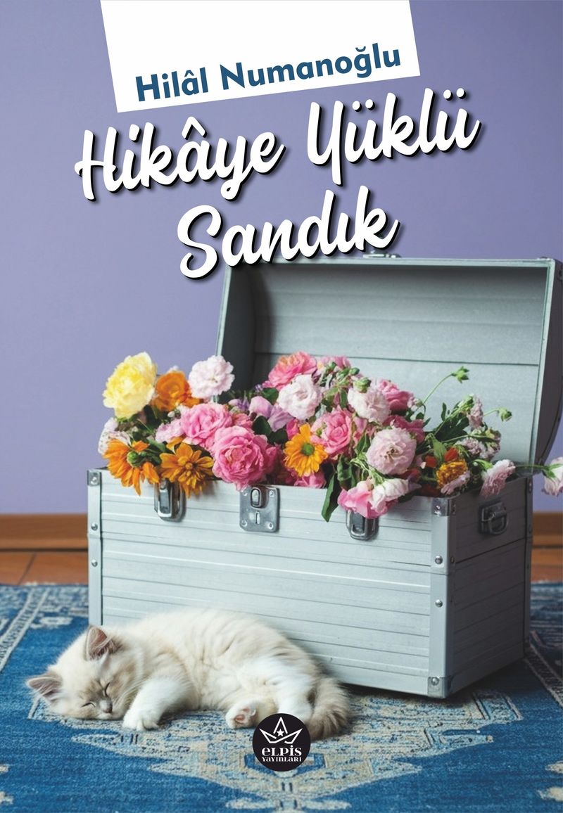 Hikaye Yüklü Sandık kitap kapağı