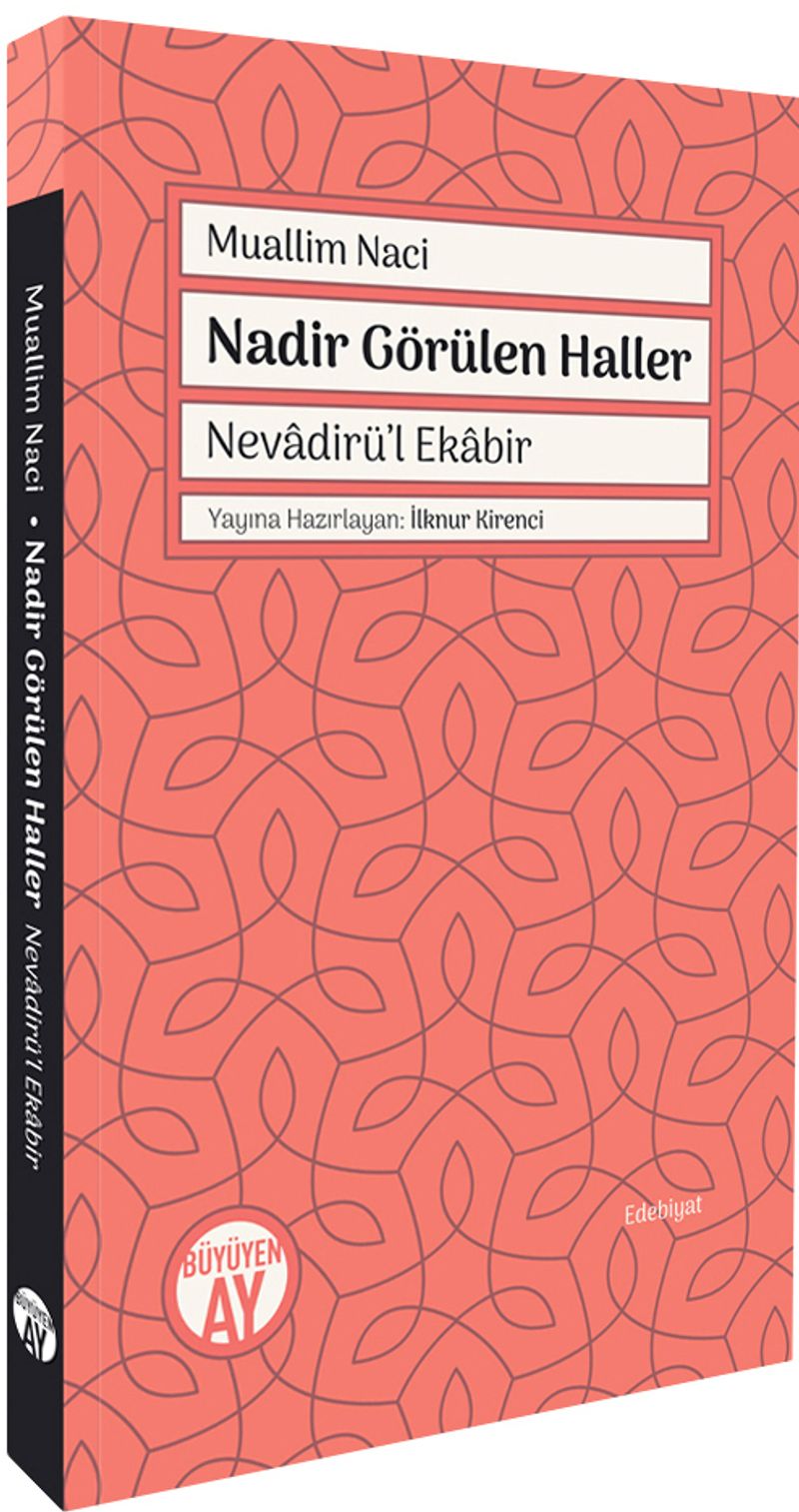 Nadir Görülen Haller Nevadirü'l Ekabir kitap kapağı