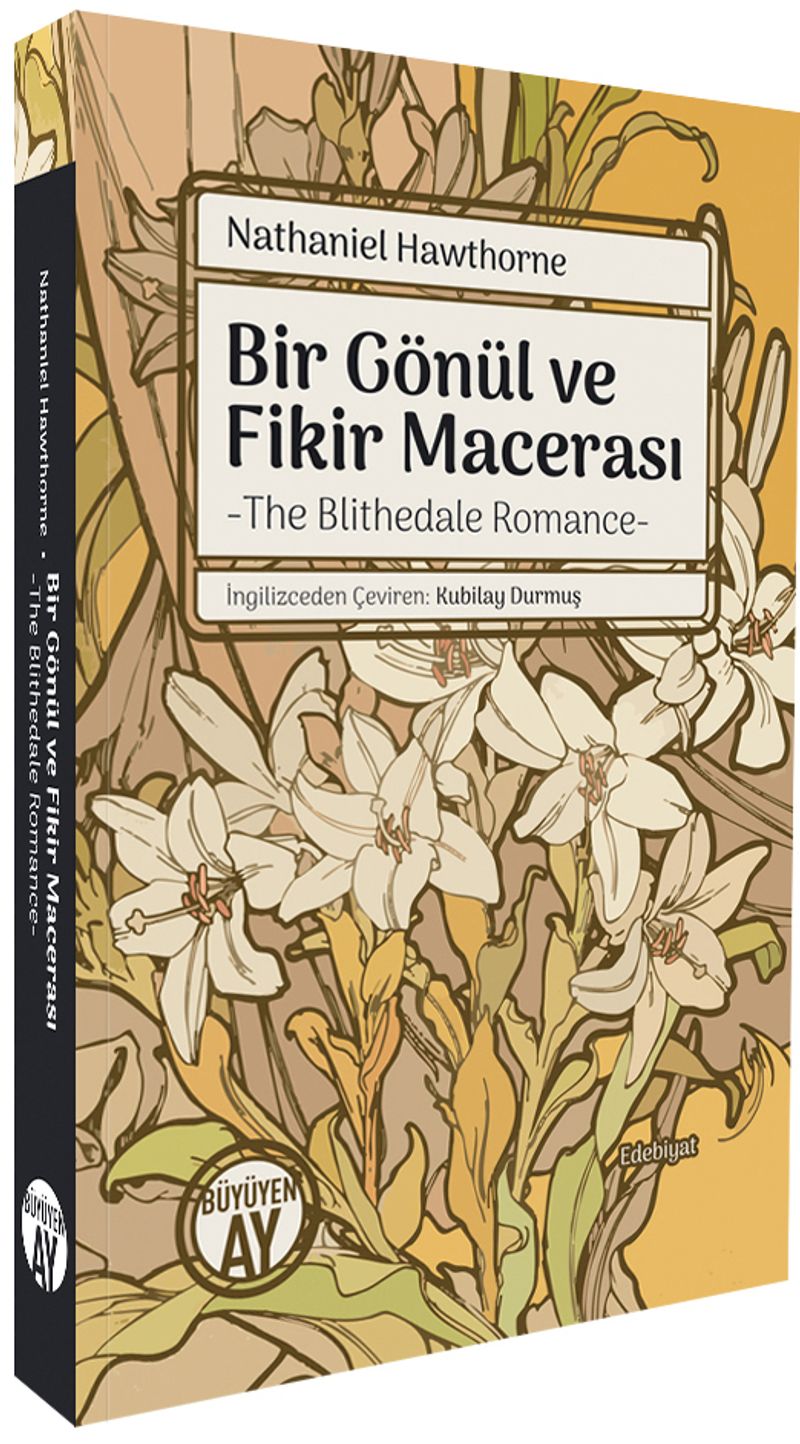 Bir Gönül ve Fikir Macerası kitap kapağı