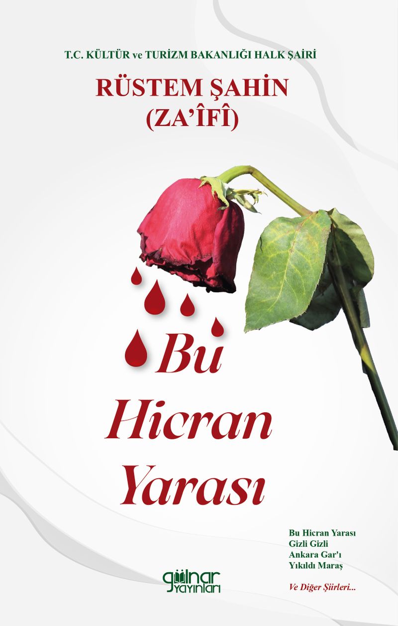 Bu Hicran Yarası kitap kapağı