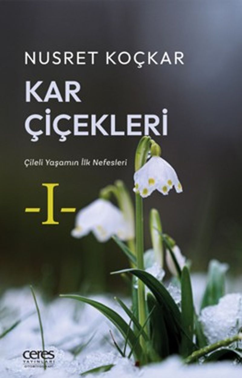 Kar Çiçekleri kitap kapağı